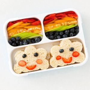 Kids lunch box 2024 : Balanced Bento Box