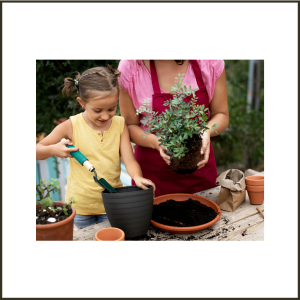 Summer vacation activities for 2024: Planting a Herb Garden