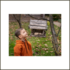 Summer vacation activities for 2024: Making a Bird Feeder